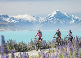 Nelson Christchurch SI 2