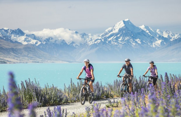 Nelson Christchurch SI 2