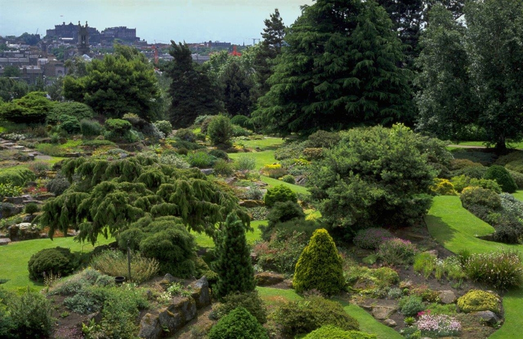 Royal Botanic Garden Edinburgh rockgarden 925498906