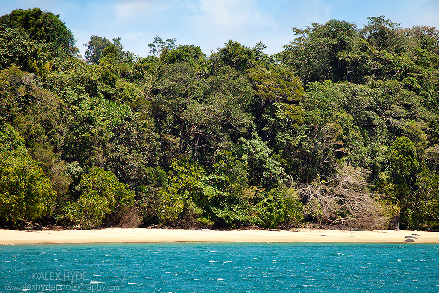 Coastal rainforest Masoala Peninsula
