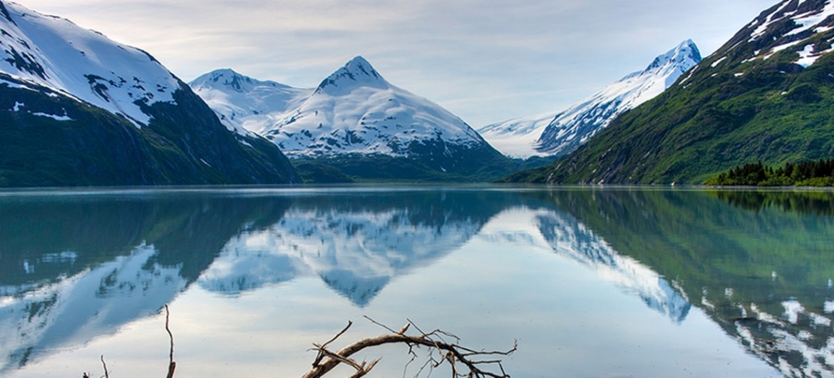 original ALASKA banner