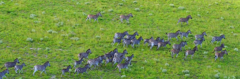 Maputo Special Reserve