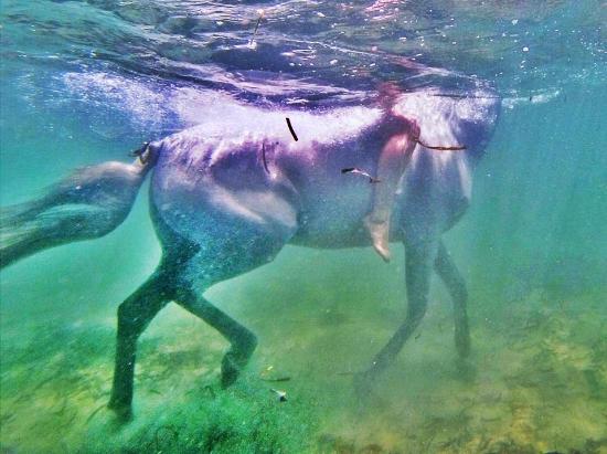 vilanculos activity centre